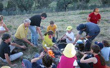 Linga Longa Farm Wingham - eAccommodation 3