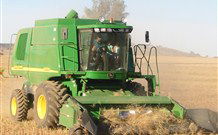 Linga Longa Farm Wingham - eAccommodation 4