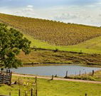 Sanctuary Hill Retreat - eAccommodation