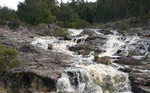 Wildwood Guesthouse - eAccommodation 2