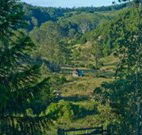 Yarralong BnB and Farm Stay - eAccommodation