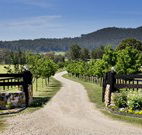 Pemberley Grange Hunter Valley Getaway - eAccommodation