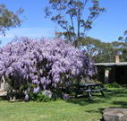 Studio Cottages - eAccommodation