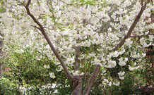 Valley Of The Waters Bed And Breakfast - eAccommodation 7