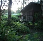 Mount Seaview Resort - eAccommodation