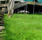 Snowy Valley Resort - eAccommodation