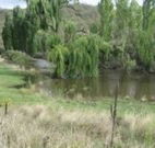 Cedar Grove - eAccommodation