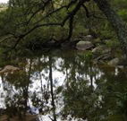 In Essentia Healing Hut of Kangaroo Valley - eAccommodation