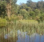 Fosterton Lodge Retreat - eAccommodation