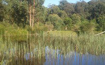 Fosterton Lodge Retreat - eAccommodation 0