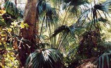 Moffat Falls Lodge, Cottages And Cabins - eAccommodation 1