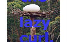 Moffat Falls Lodge, Cottages And Cabins - eAccommodation 3