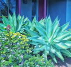 Retreat Homestead - eAccommodation