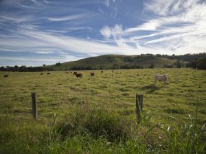 Goolmangar NSW eAccommodation