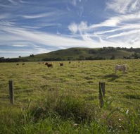 Annas Retreat - eAccommodation