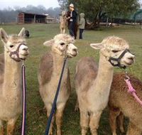 Bunyip Springs Farmstay - eAccommodation