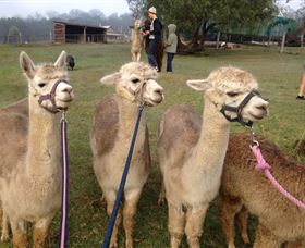 Bunyip Springs Farmstay - eAccommodation 0