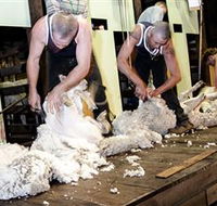 The Woolshed at Jondaryan Caravan and Camping - eAccommodation