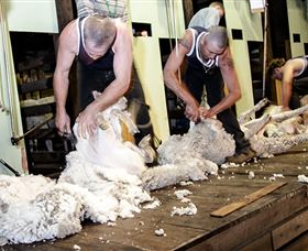 The Woolshed At Jondaryan Caravan And Camping - eAccommodation 0