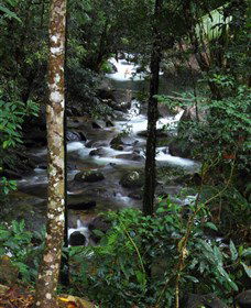 Daintree Secrets Waterfall Sanctuary - eAccommodation 1