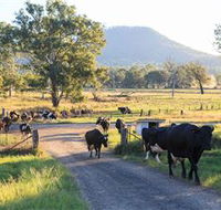 Tommerups Dairy Farmstay - eAccommodation