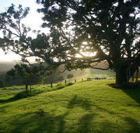 Kilfeacle Farm Cottage - eAccommodation