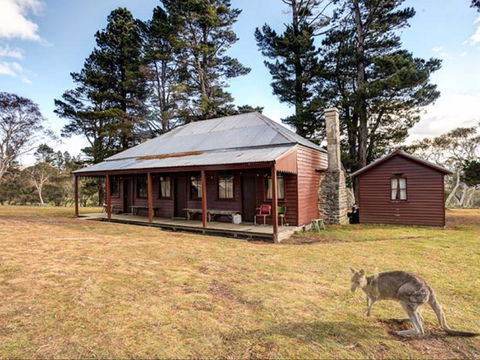 The Pines Cottage - eAccommodation 0