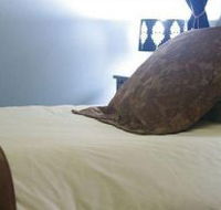 Mount Victoria Manor - eAccommodation