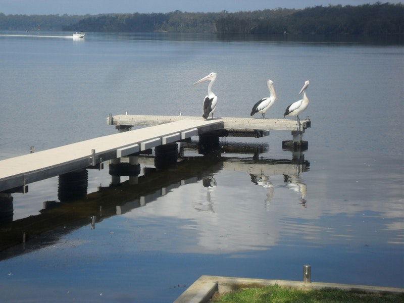 Basin View NSW eAccommodation