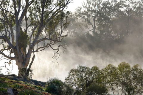 River Shack Rentals - Living The Dream - eAccommodation 57