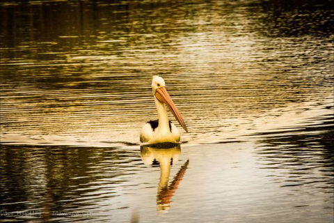 River Shack Rentals - Living The Dream - eAccommodation 55