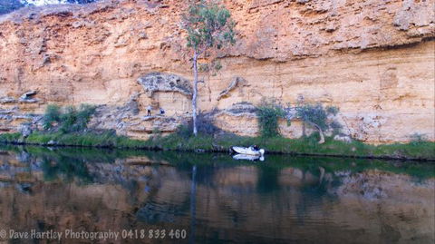 River Shack Rentals - Living The Dream - eAccommodation 123