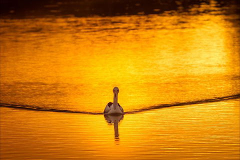 River Shack Rentals - Living The Dream - eAccommodation 0