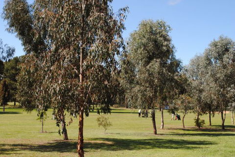 Casa Pizzini Bed And Breakfast - eAccommodation 6