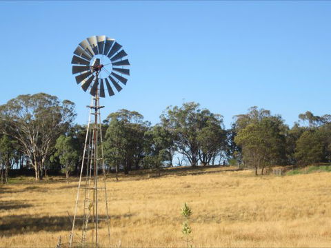 Peach Tree Cabin - eAccommodation 8