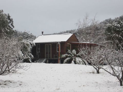 Peach Tree Cabin - eAccommodation 9