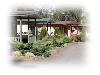 Kapunda Tourist Park - eAccommodation 1