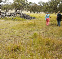 Carnarvon National Park camping - eAccommodation