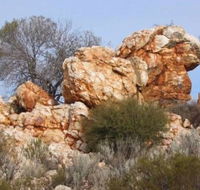 Credo Homestead Camp at Credo Conservation Park - eAccommodation