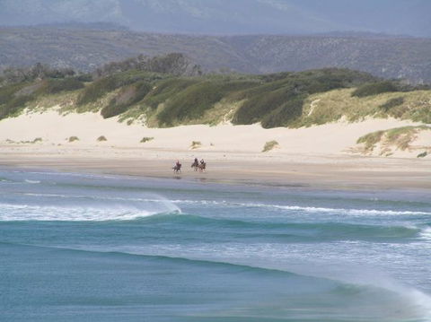 Arties Cottage Accommodation - eAccommodation 5