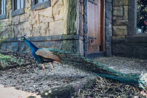 Castle Suites - Kryal Castle - eAccommodation 5