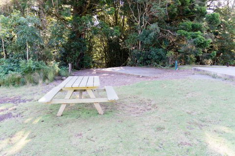 Lamington National Park Camping Ground - eAccommodation 2