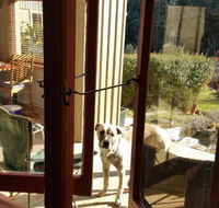 Mara Ponds Branxholm - eAccommodation