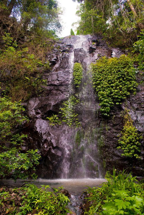 Nimbin Waterfall Retreat - eAccommodation 0