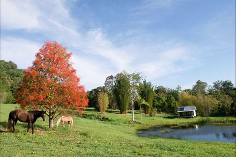 Nimbin Waterfall Retreat - eAccommodation 1