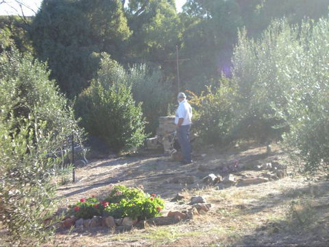 Olive Grove Retreat - eAccommodation 5