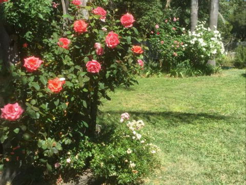 Tallarook Hotel - eAccommodation 1