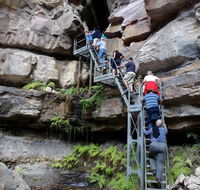Takarakka Bush Resort Carnarvon Gorge - eAccommodation