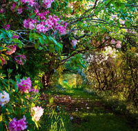 The Pear Walk - eAccommodation