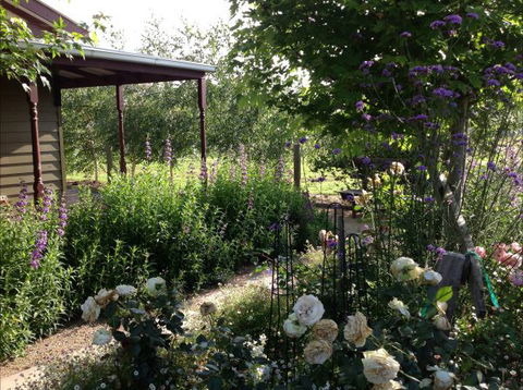 Wandana Bed And Breakfast - eAccommodation 0